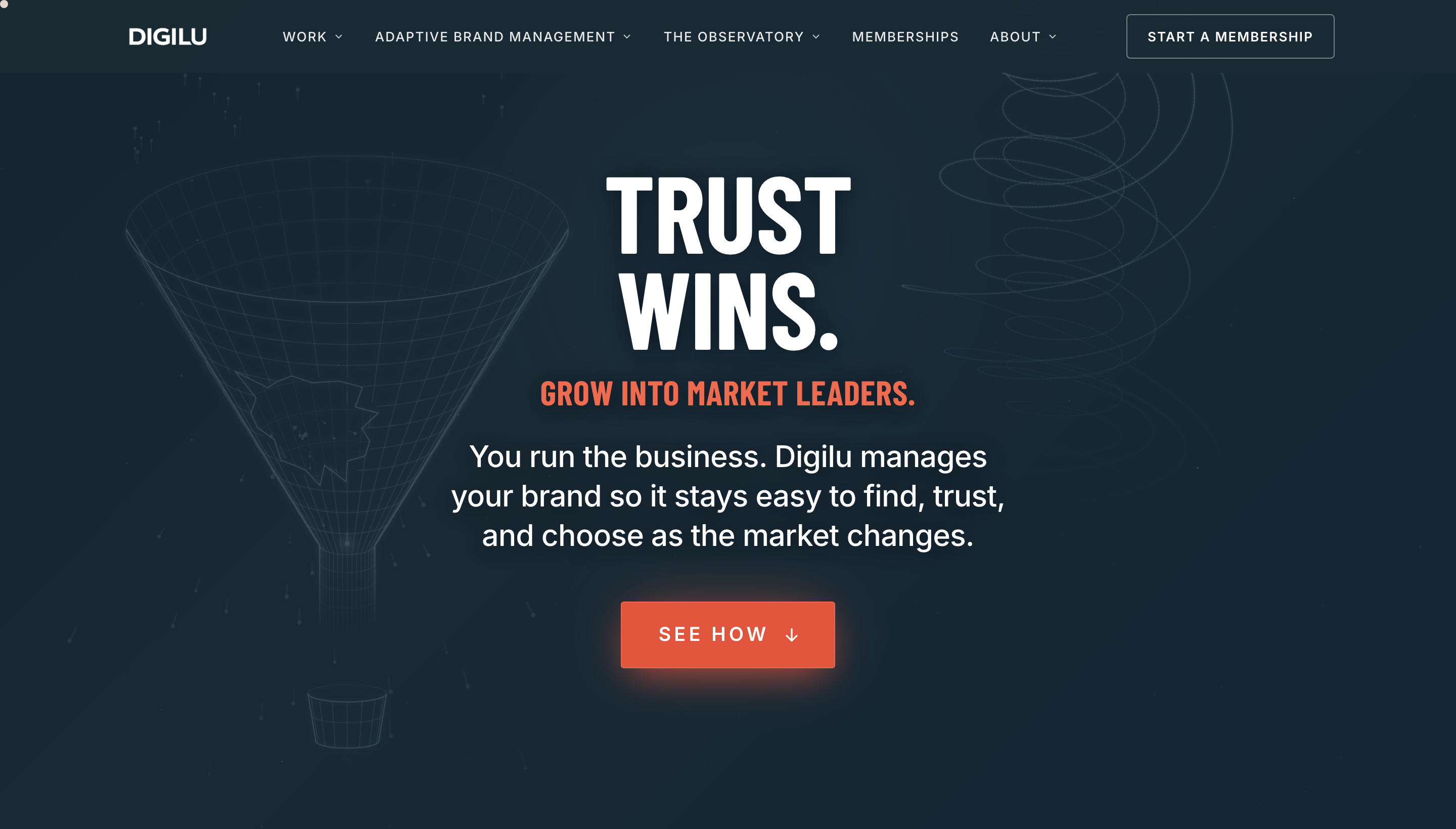 The Digilu homepage hero